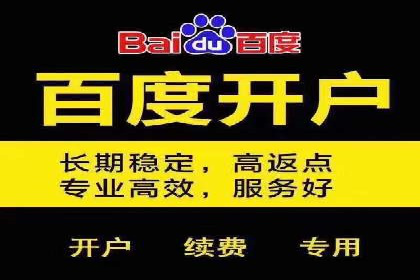 百度SEO推广技巧案例分析